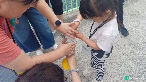 海下灣生態導賞團