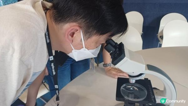 海下灣生態導賞團