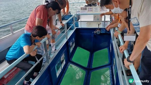 海下灣生態導賞團