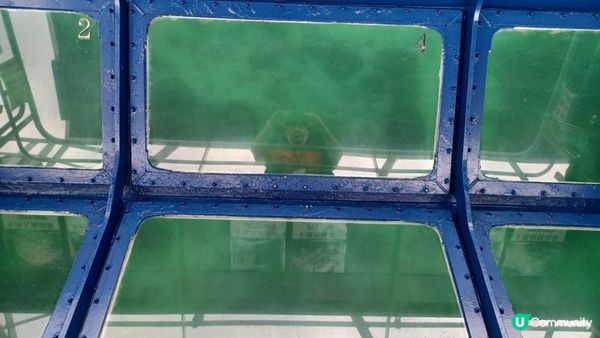 海下灣生態導賞團