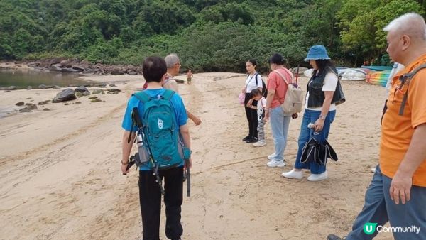 海下灣生態導賞團