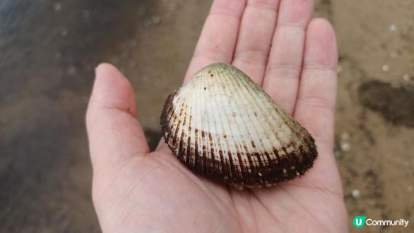 海下灣生態導賞團