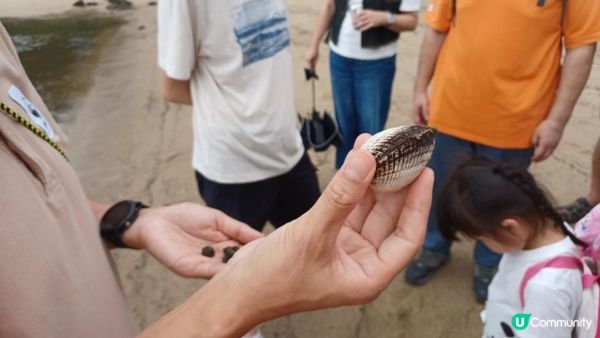 海下灣生態導賞團