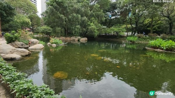 香港公園霍士傑溫室- 裡面有700多株植物