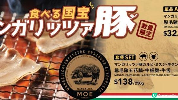 燒肉控必睇！「燒肉 LIKE」 X 匈牙利鬈毛豬保育協會首推匈牙利國寶級「MOE鬈毛豬五花腩」