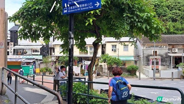 《沙田至城門水塘菠蘿壩行山篇》道風山(大十字架/生命門/聖殿/蓮花洞/明陣)、針山、城門水塘主壩