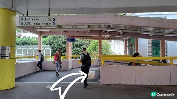 《沙田至城門水塘菠蘿壩行山篇》道風山(大十字架/生命門/聖殿/蓮花洞/明陣)、針山、城門水塘主壩