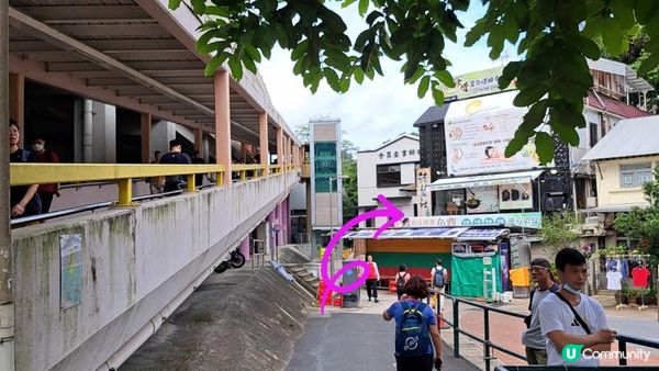 《沙田至城門水塘菠蘿壩行山篇》道風山(大十字架/生命門/聖殿/蓮花洞/明陣)、針山、城門水塘主壩