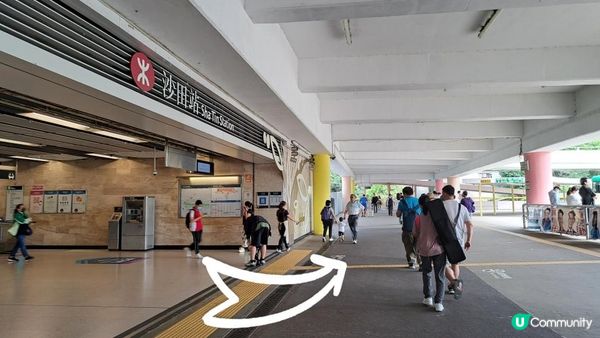 《沙田至城門水塘菠蘿壩行山篇》道風山(大十字架/生命門/聖殿/蓮花洞/明陣)、針山、城門水塘主壩