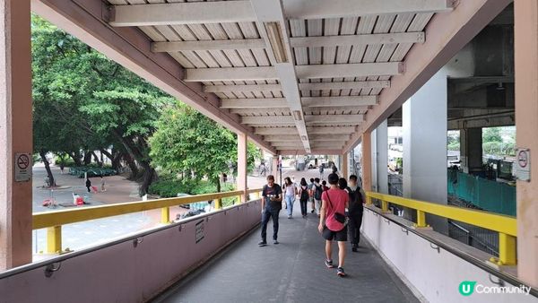 《沙田至城門水塘菠蘿壩行山篇》道風山(大十字架/生命門/聖殿/蓮花洞/明陣)、針山、城門水塘主壩