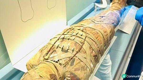 【2024英國法國之旅】倫敦大英博物館British Museum參觀攻略：最佳路線及必看展品