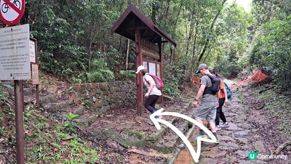 《烏蛟騰至紅石門灣行山篇》馬頭峰、雞仔峒、吉澳水塘、🚤黃竹角咀鬼手