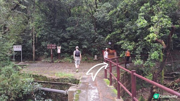 《烏蛟騰至紅石門灣行山篇》馬頭峰、雞仔峒、吉澳水塘、🚤黃竹角咀鬼手