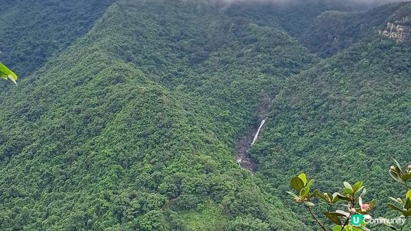 《烏蛟騰至紅石門灣行山篇》馬頭峰、雞仔峒、吉澳水塘、🚤黃竹角咀鬼手