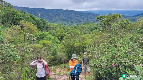 《烏蛟騰至紅石門灣行山篇》馬頭峰、雞仔峒、吉澳水塘、🚤黃竹角咀鬼手