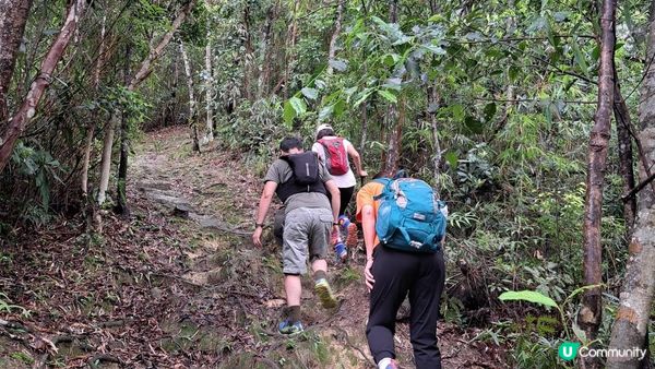 《烏蛟騰至紅石門灣行山篇》馬頭峰、雞仔峒、吉澳水塘、🚤黃竹角咀鬼手