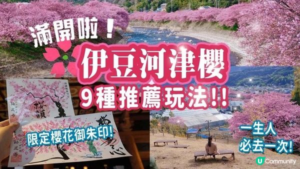 [突發] 滿開河津櫻2023🌸一生人必去一次的櫻花聖地: 9個唯美景點及玩法｜隱藏的絕美展望台｜限定櫻花御朱印送大家🎁 #河津櫻 #櫻花 #日本旅行