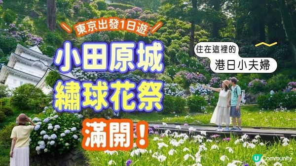 港日夫婦地膽~帶你遊小田原繡球花祭！東京出發1日遊｜賞花冷知識｜懷舊電車Cafe｜認識難攻不落的小田原城｜還有我們的生活圈～～ #日本旅遊 #日本自由行 #繡球花