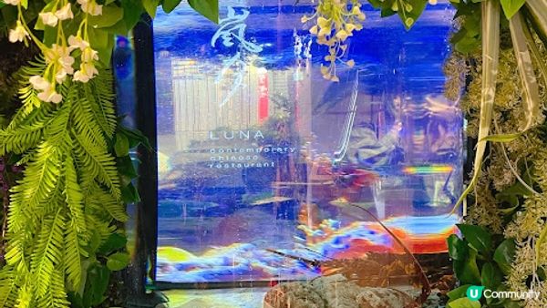 氣派十足的《#嵐月 》高質中菜