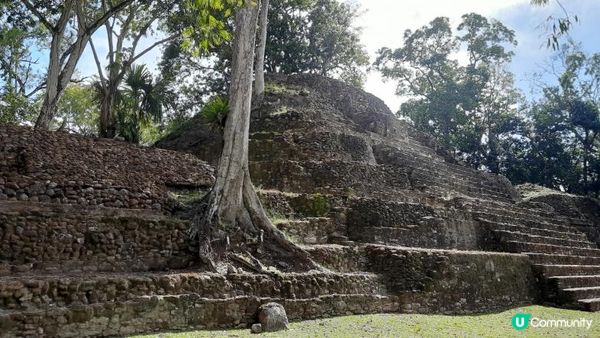 流浪中南美： 貝里斯潛水以外的選擇