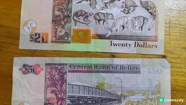 流浪中南美： 貝里斯潛水以外的選擇