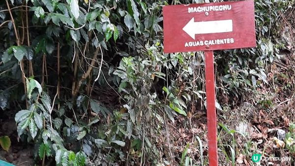 步行到熱水鎮---馬丘比丘， 窮遊的選擇
