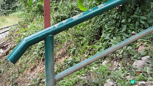 步行到熱水鎮---馬丘比丘， 窮遊的選擇