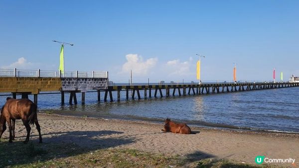 流浪中南美--火山國尼加拉瓜快閃