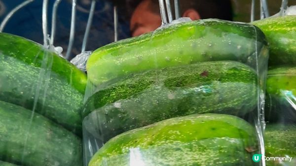 流浪中南美洲：最危險的國家！？ 薩爾瓦多