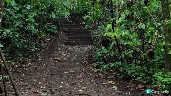 流浪中南美---哥斯達黎加，中美洲綠寶石