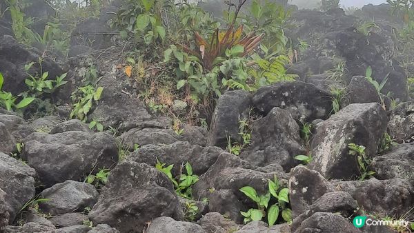 流浪中南美---哥斯達黎加，中美洲綠寶石