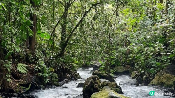 流浪中南美---哥斯達黎加，中美洲綠寶石