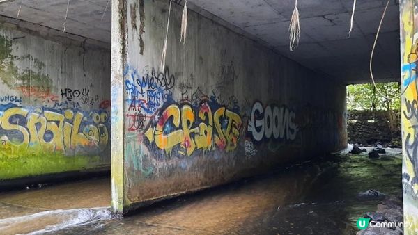 流浪中南美---哥斯達黎加，中美洲綠寶石