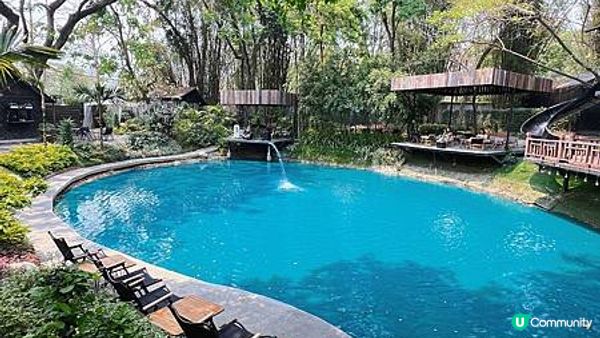 [旅遊] 泰國｜清邁Chiang Mai 森林系仙境咖啡廳 No.39 cafe