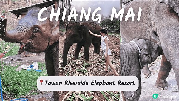 [旅遊]泰國｜清邁Chiang Mai 十天自助行前規劃 住宿、換匯、簽證、交通整理