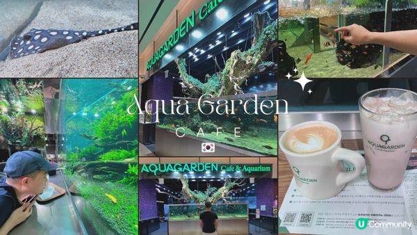 [旅遊]韓國首爾｜ Aqua Garden cafe 樂天百貨水族館咖啡廳