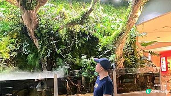 [旅遊]韓國首爾｜ Aqua Garden cafe 樂天百貨水族館咖啡廳