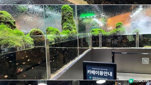 [旅遊]韓國首爾｜ Aqua Garden cafe 樂天百貨水族館咖啡廳