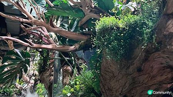 [旅遊]韓國首爾｜ Aqua Garden cafe 樂天百貨水族館咖啡廳