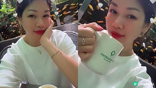 [旅遊]韓國首爾｜ Aqua Garden cafe 樂天百貨水族館咖啡廳