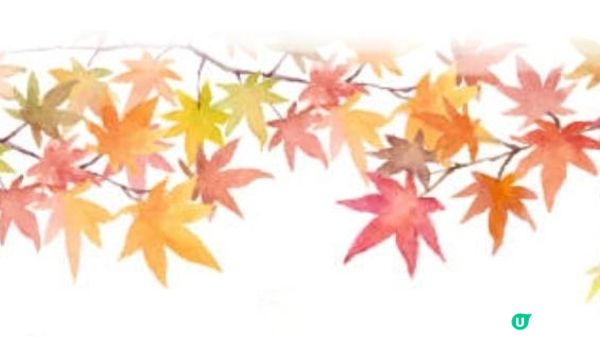 日本名古屋飄紅初雪自駕遊記2023(Day4)