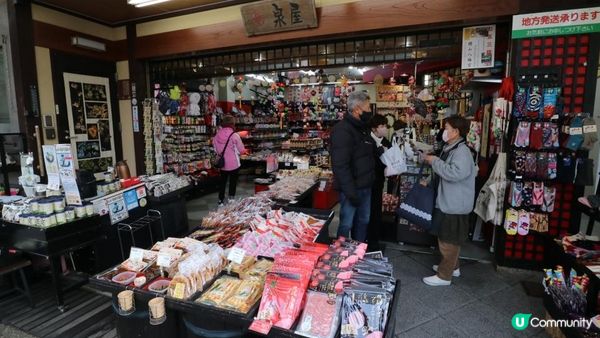 日本名古屋飄紅初雪自駕遊記2023(Day4)