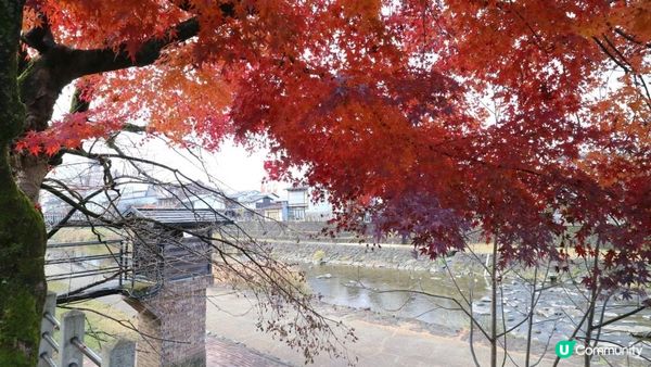 日本名古屋飄紅初雪自駕遊記2023(Day4)