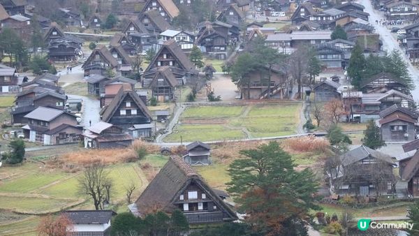 日本名古屋飄紅初雪自駕遊記2023(Day5-6)