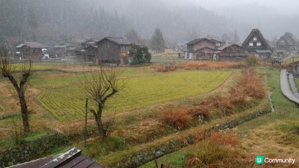 日本名古屋飄紅初雪自駕遊記2023(Day5-6)