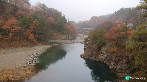 日本名古屋飄紅初雪自駕遊記2023(Day5-6)