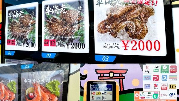 【日本。京都】京都府冬天觀光情報 編輯推薦景點、體驗及活動