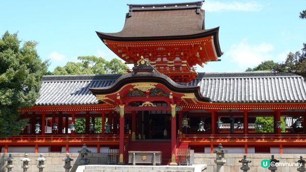 【日本。京都】京都府冬天觀光情報 編輯推薦景點、體驗及活動