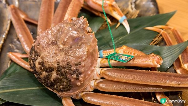 【日本。京都】京都府冬天觀光情報 編輯推薦景點、體驗及活動