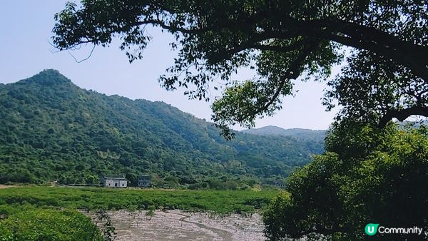 香港沙頭角│谷埔 本地文化深度遊 【啟才學校│傳統客家菜│😋 傳統客家大宅│蘭桂騰芳 客家大宅 】